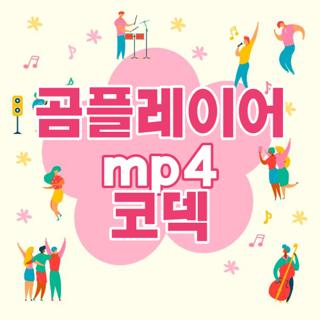 곰플레이어 mp4 코덱 설치 및 오류 해결 완벽 가이드