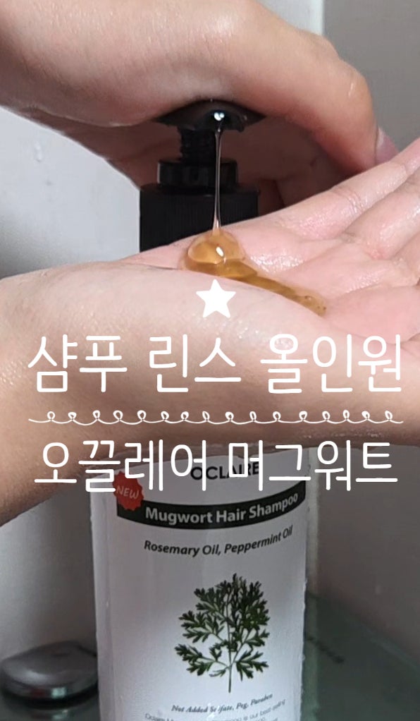 샴푸린스올인원 두피쿨린부터 피지세정까지 오끌레어 머그워트 샴푸 후기