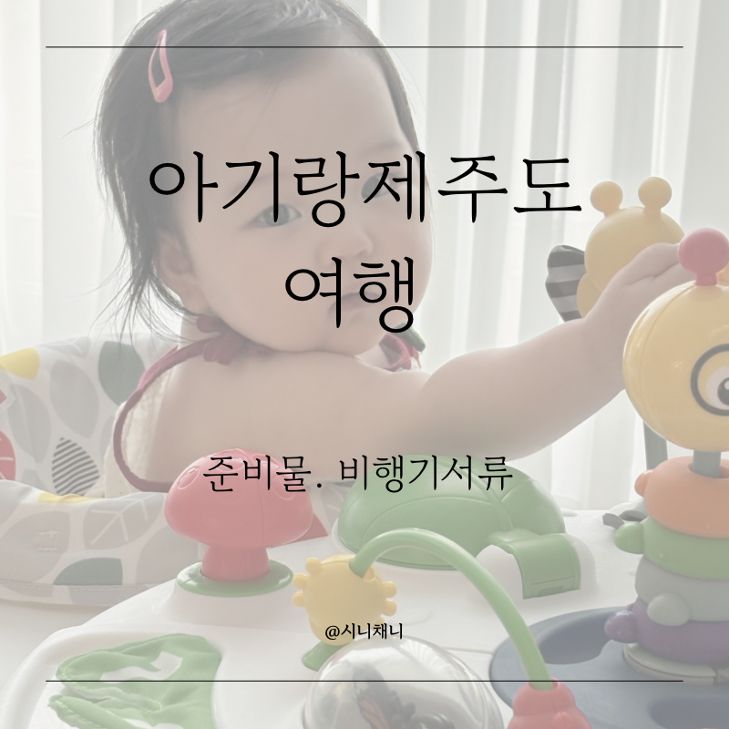 9개월 아기와 제주도 여행 준비중 ✈️ 필수 준비물 서류