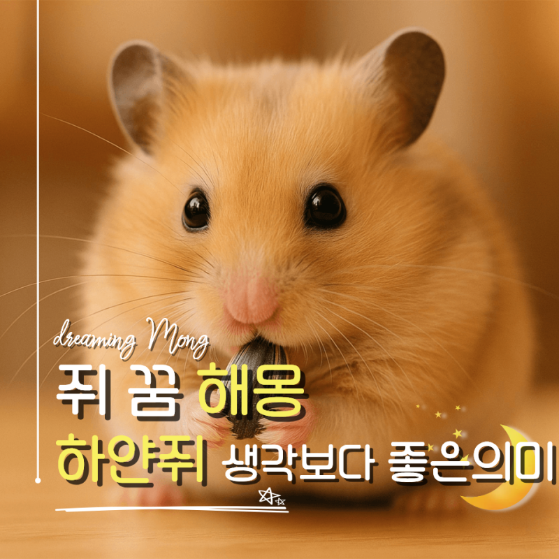 쥐 꿈 해몽 총정리! 상황별 의미 10가지와 길몽 흉몽 해석