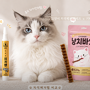 고양이 치석제거템 종류별 비교, 칫솔·치약·덴탈간식·치카펜·덴탈워터 특징
