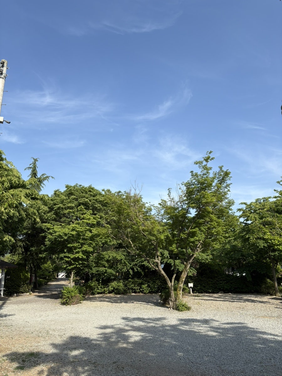계룡산사계절펜션 사진 4