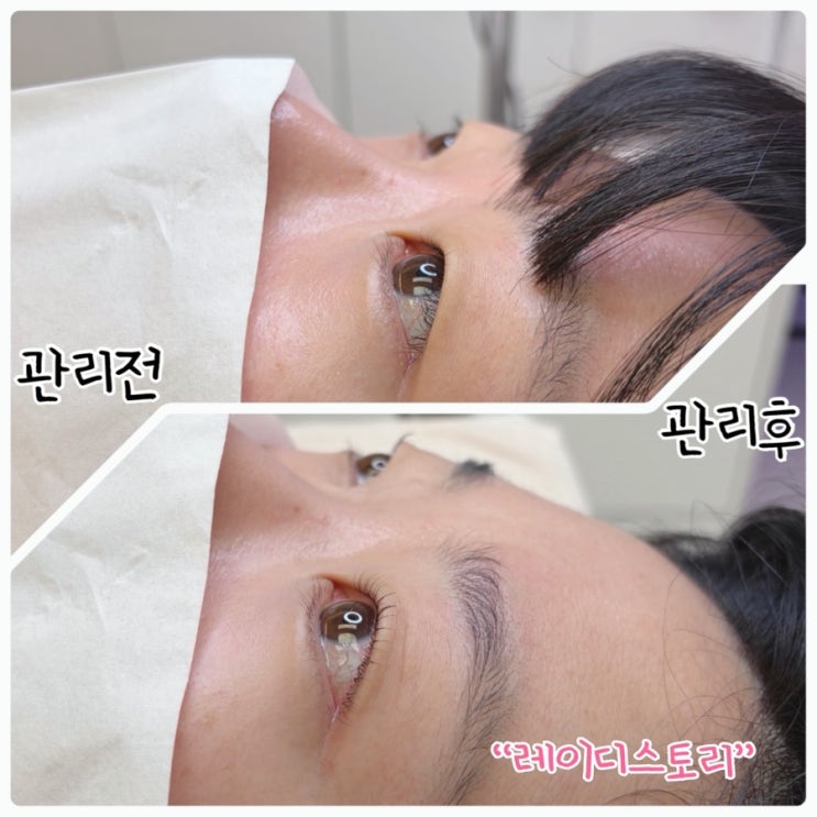  원주 속눈썹펌 "레이디스토리" 20년 경력의 속눈썹 전문관리샵