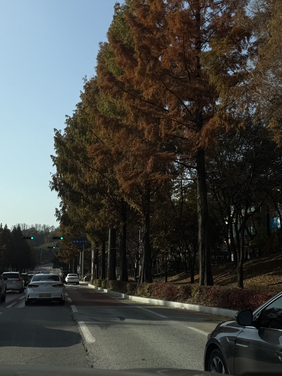 캄파슬로우 사진 1