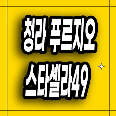  인천 청라 대우 오피스텔 미분양 청라동 푸르지오 스타셀라 주거용