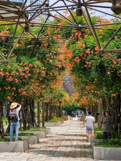 산채시골집 사진 5