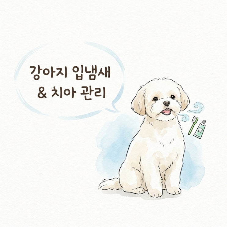  강아지 입냄새 원인과 집에서 확인해야 할 구강 관리법