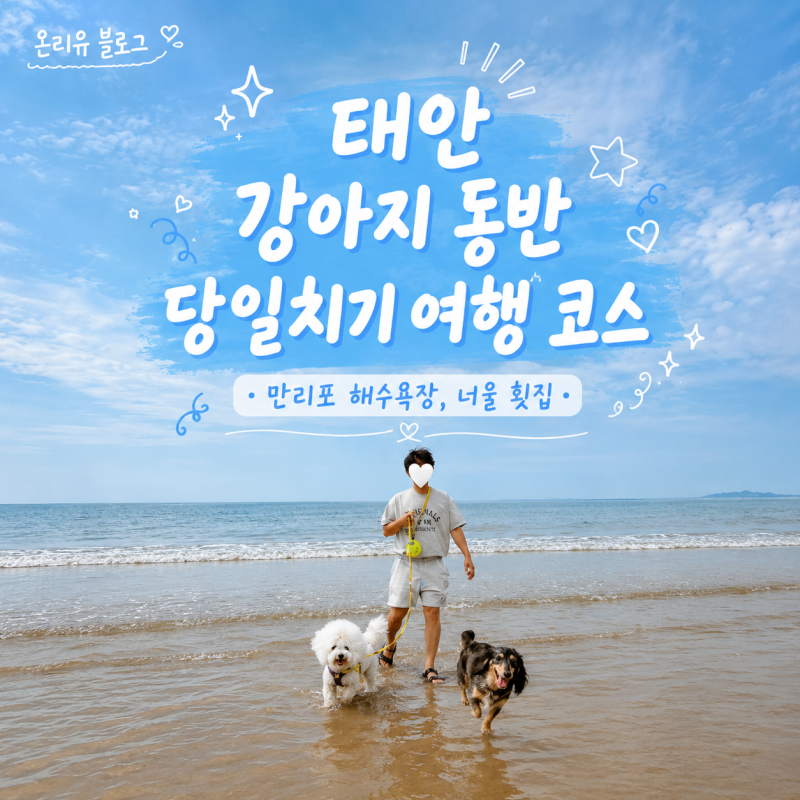 [충청도 태안] 강아지 동반 당일치기 여행코스 추천 | 만리포해수욕장·애견동반식당 너울횟....