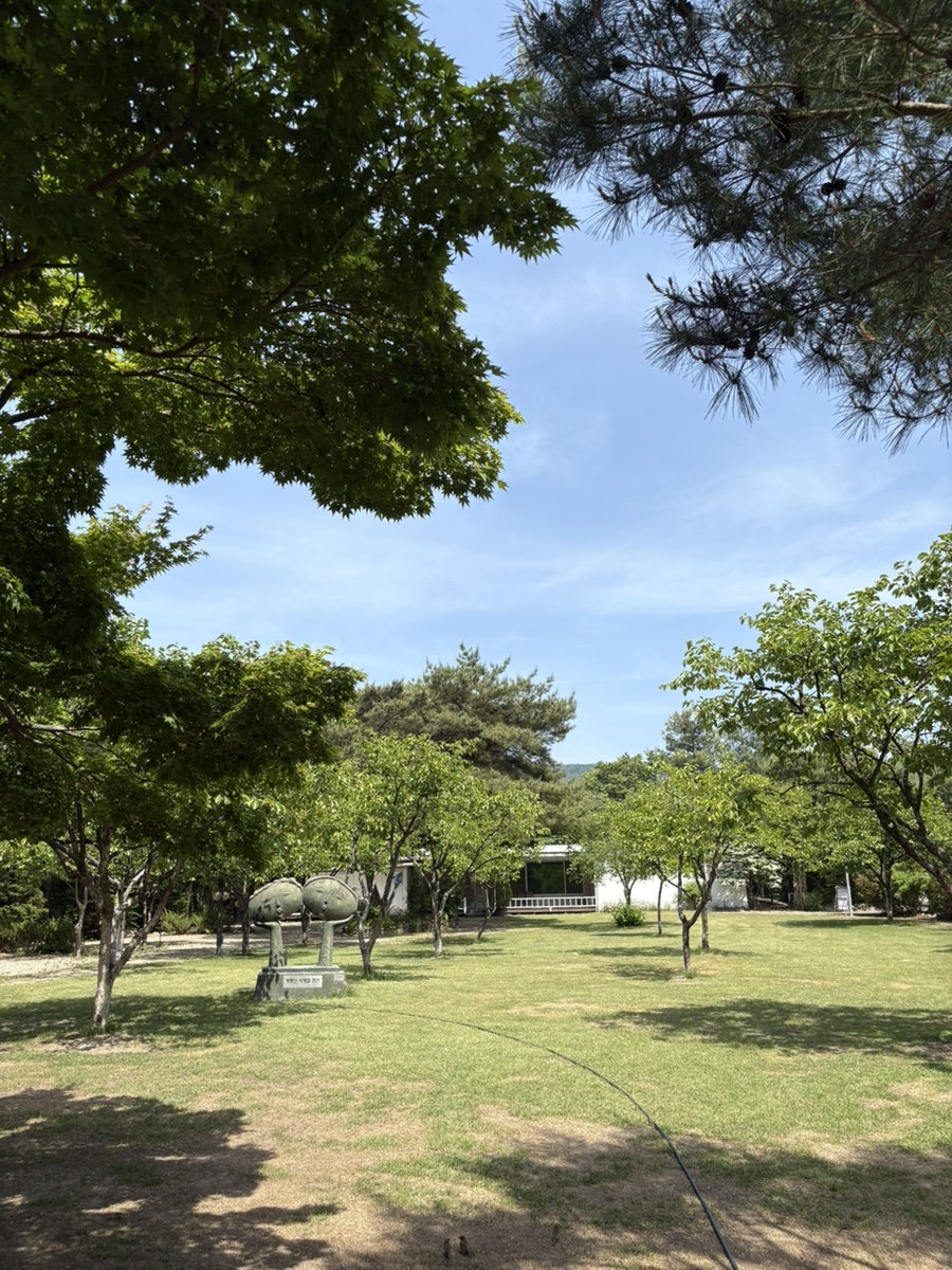 계룡산사계절펜션 사진 6