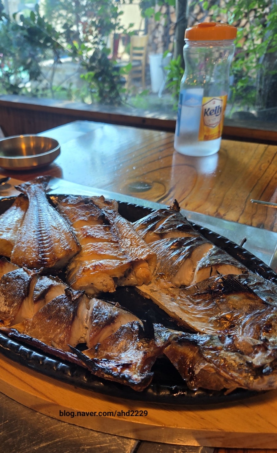 푸른집 사진 5
