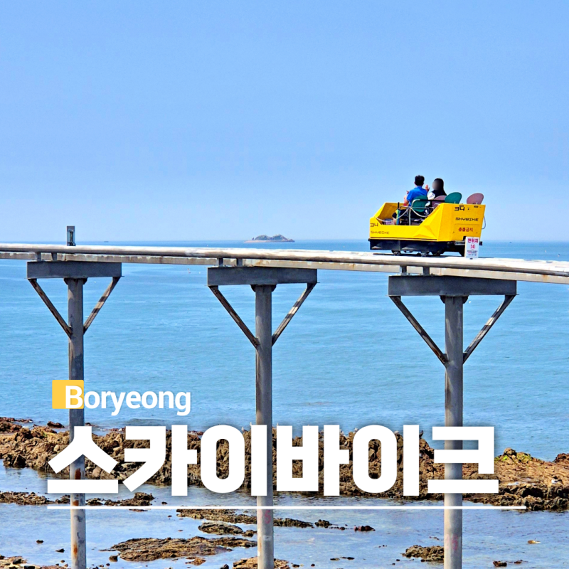 보령 대천 해수욕장 놀거리 스카이바이크 현장 예매 시간 주차장