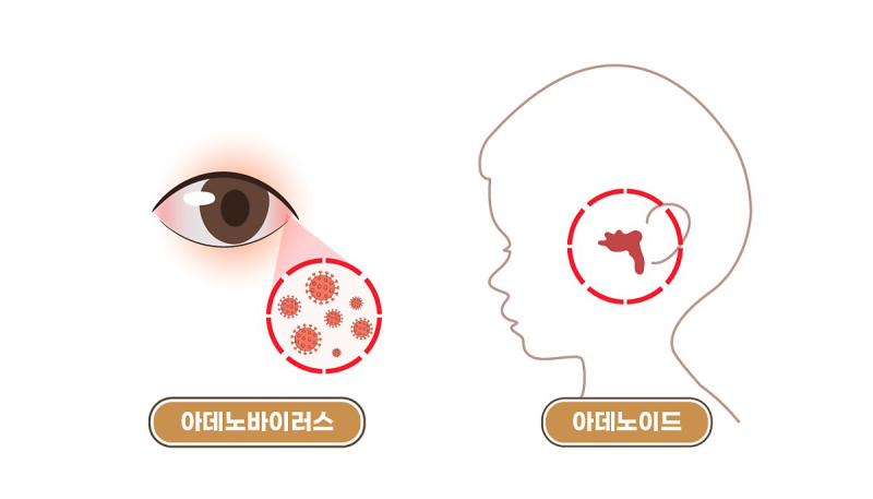 [약이야기][약사가이드]돌 전후 아기 아데노바이러스 증상 대처 해열제 교차복용
