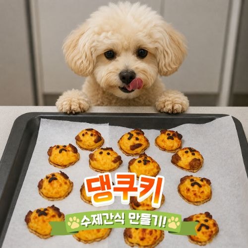 강아지 수제간식 레시피 | 댕쿠키 만드는 방법