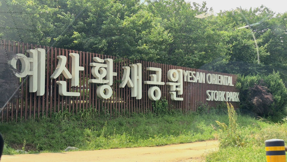 등골 사진 4