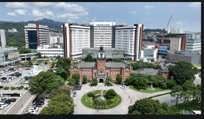국내 최고 병원 어디일까? 분야별 명의와 강점 총정리 (서울대·세브란스·삼성·아산·성모+....