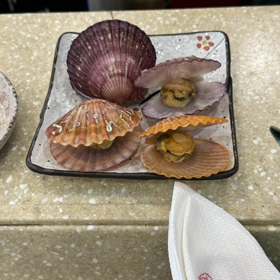 민참치 사진 4