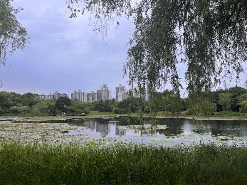 일산 호수공원 주차정보 총정리! 노래하는분수대부터 호수전망대까지 산책