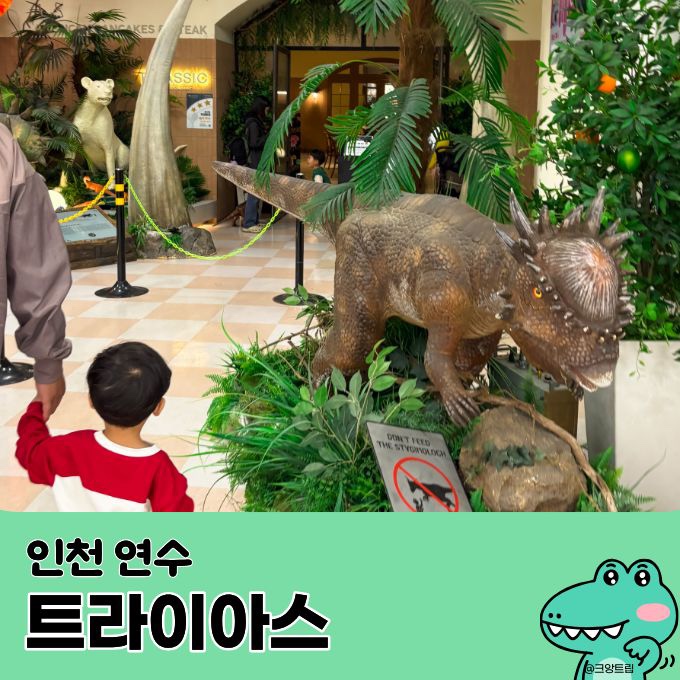 트라이아스 인천연수점 사진 1