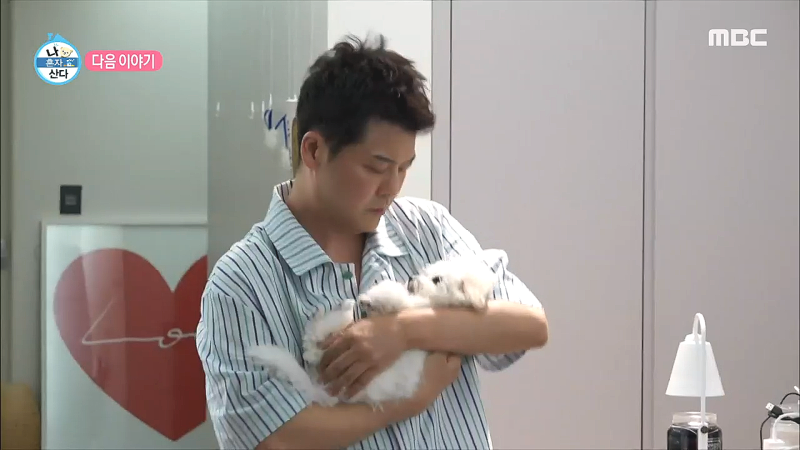 나혼자산다 전현무 순무(까불이)반려견 입양 효도프로젝트 2탄 24시청담우리동물병원