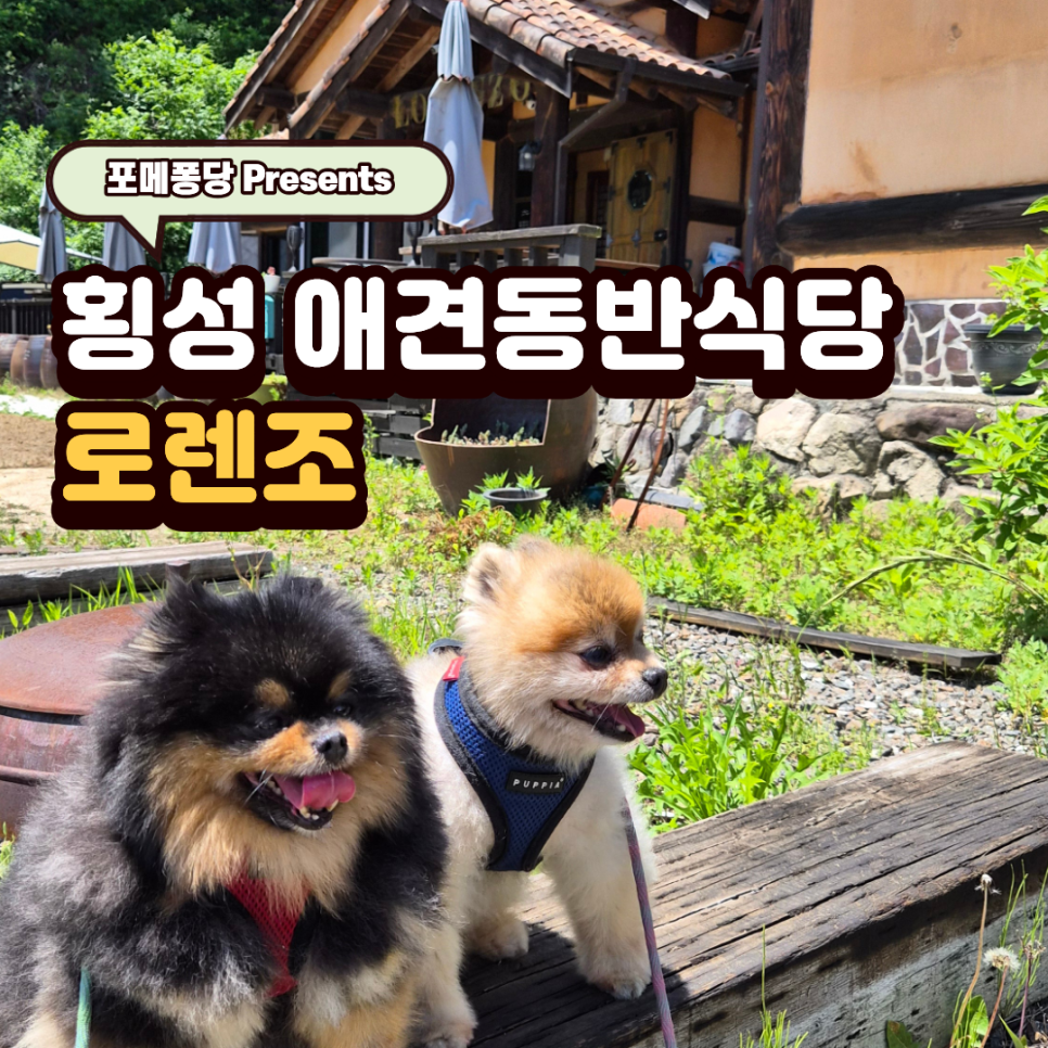 로렌조 사진 1