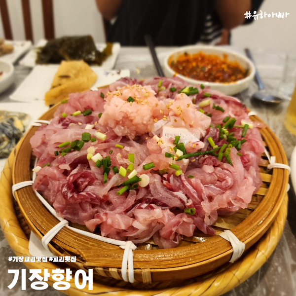  기장 교리 맛집 교리 현지인들이 인정한 횟집 기장향어 맛집인정