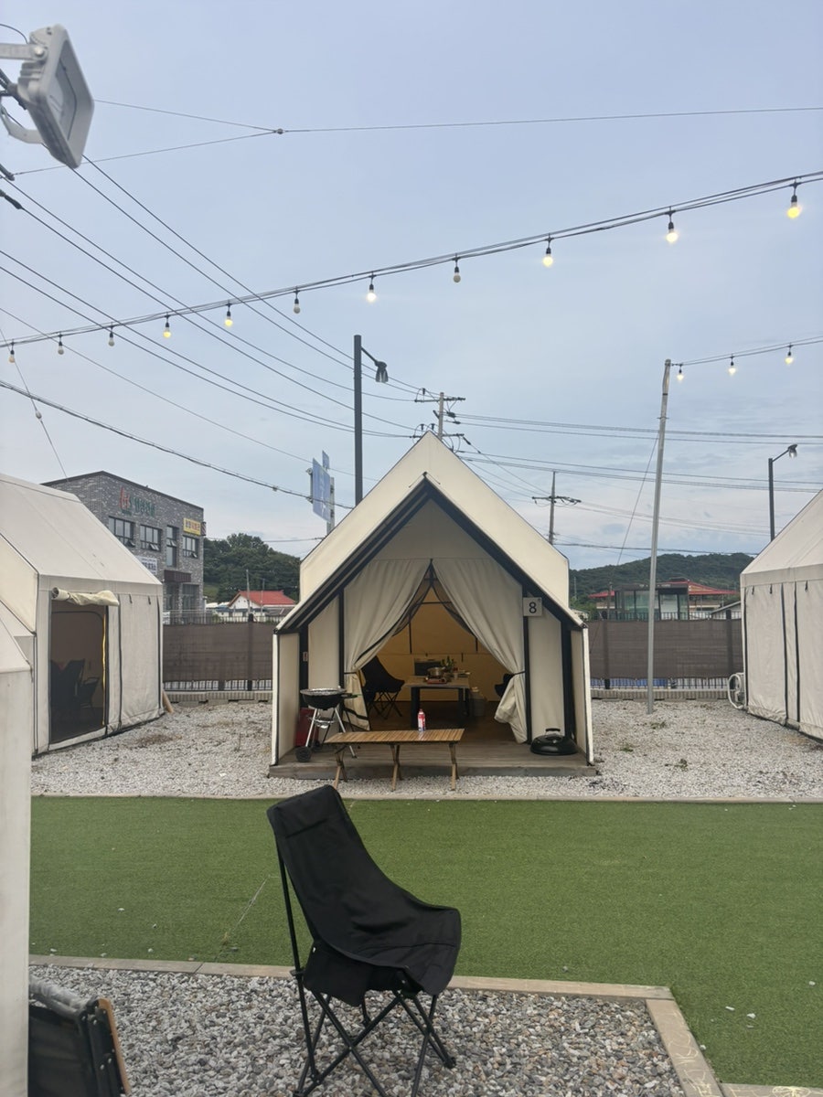 고기하이 사진 1