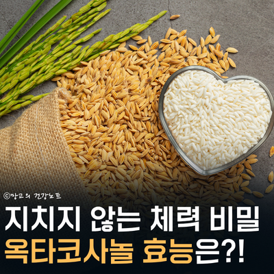지치지 않는 체력 원천! 옥타코사놀 효능 주목! | 뜻, 부작용, 권장량, 복용시간