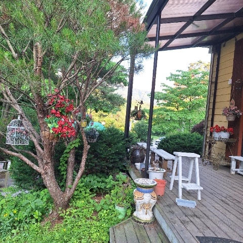 산들내음 사진 2