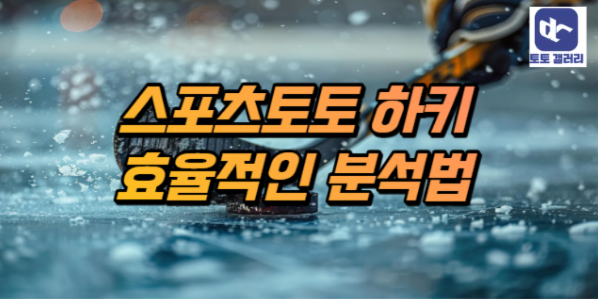  스포츠토토 하키 효율적인 분석 가이드