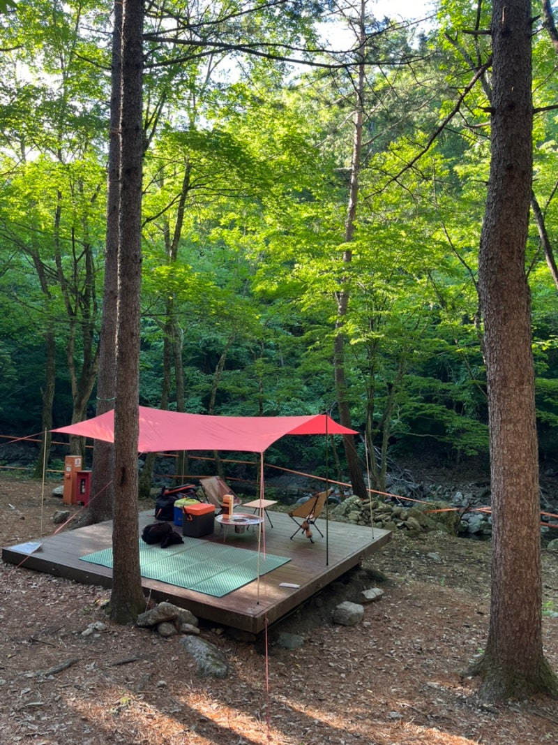 (인제)국립용대자연휴양림야영장(6/5-6/6)