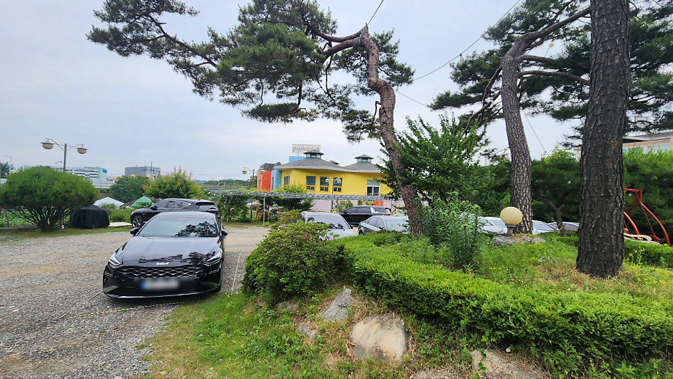 약초산 사진 5