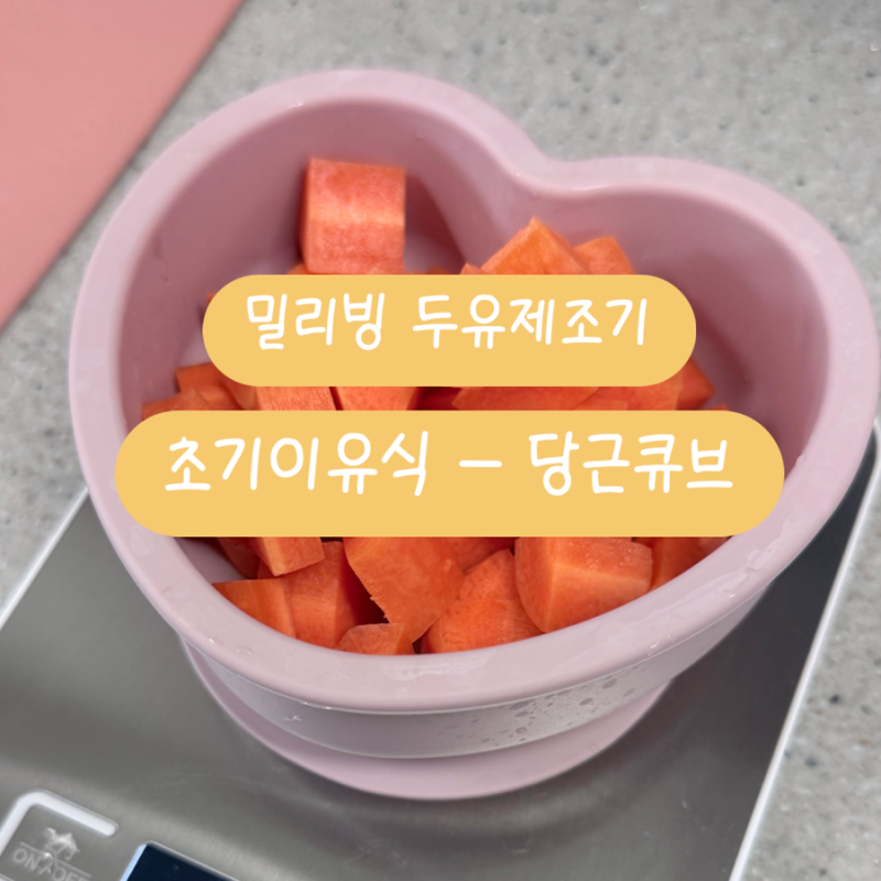 밀리빙 두유제조기 | 초기 이유식 레시피| 당근 큐브 만들기