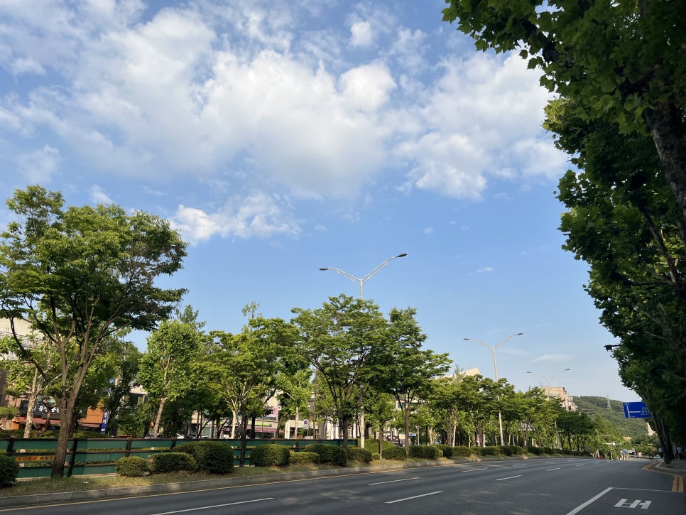 루루중식당 사진 1