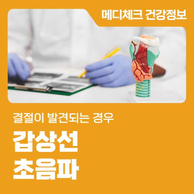 서울 갑상선 초음파 결절이 발견되는 경우