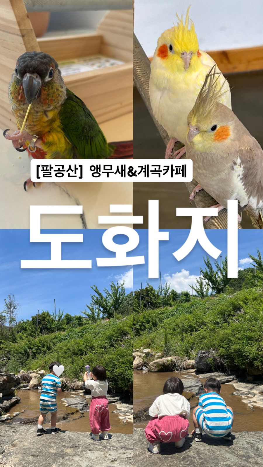 도화지 사진 1