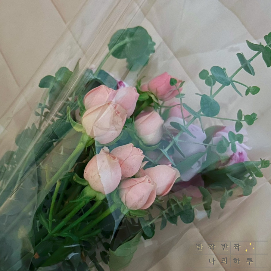 마사키 사진 2