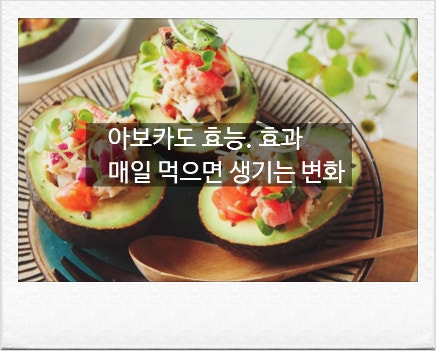 매일 반개씩 먹으면 어떻게 변할까? 아보카도 효능, 하루섭취량, 부작용