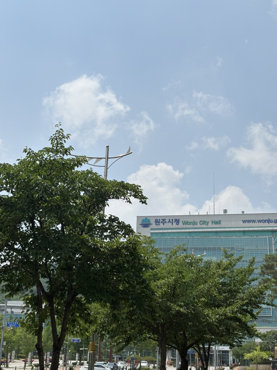 해피데이 사진 2