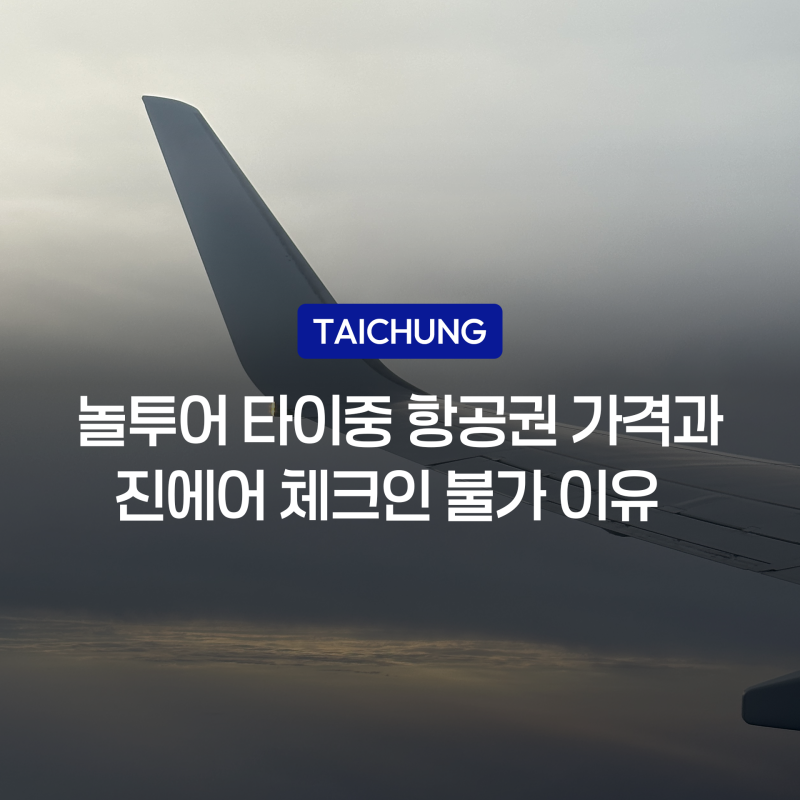 놀인터파크 항공권 진에어 온라인 체크인 불가, 타이중 비행기표 구매 후기