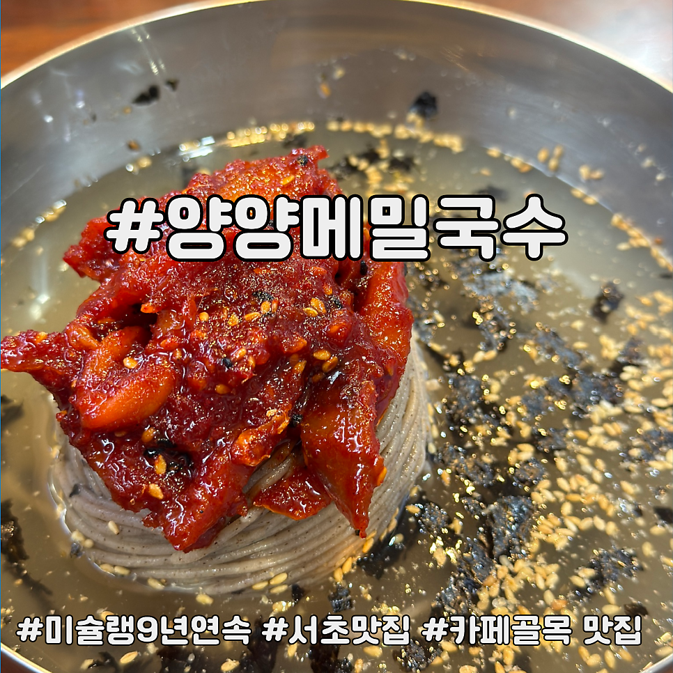 양양메밀막국수 사진 1