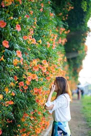 산채시골집 사진 3