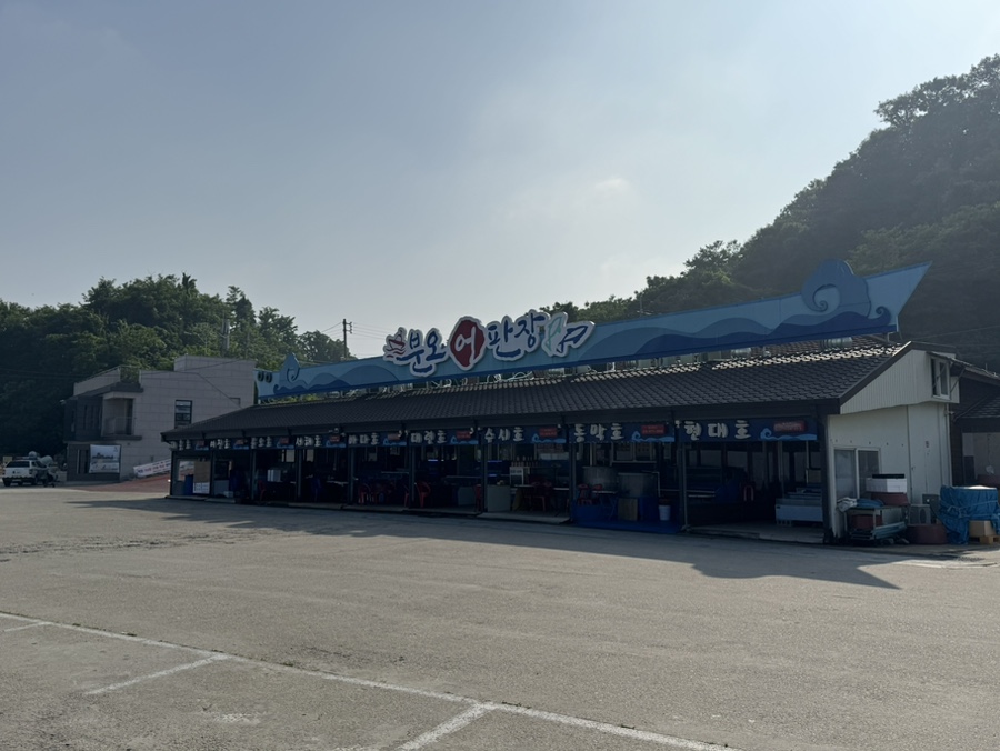 대련호 사진 5