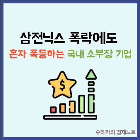  "삼전닉스 폭락" 하는데 혼자 폭등하는 반도체 소부장 기업 정체
