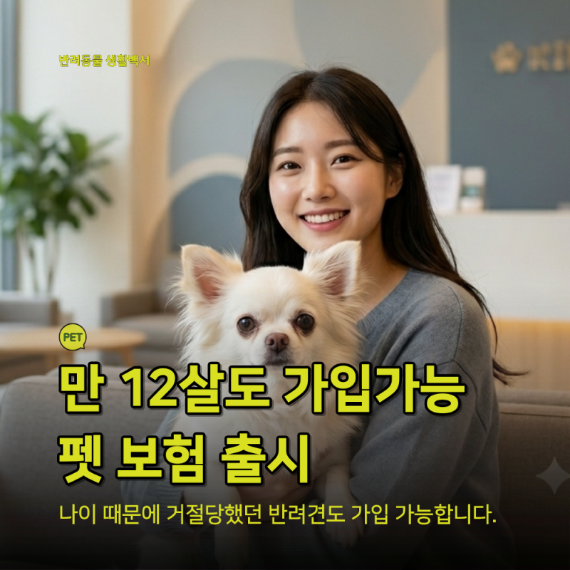 만 12세까지 가입 가능한 펫보험 출시! 노령견도 가입 가능한 이마트 올라 펫보험 총정리