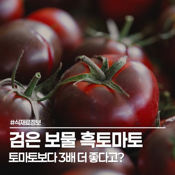  일반 토마토보다 3배 강력한 흑토마토 효능? 제철 맞은 쿠마토 다이어트 야식으로도 최고!