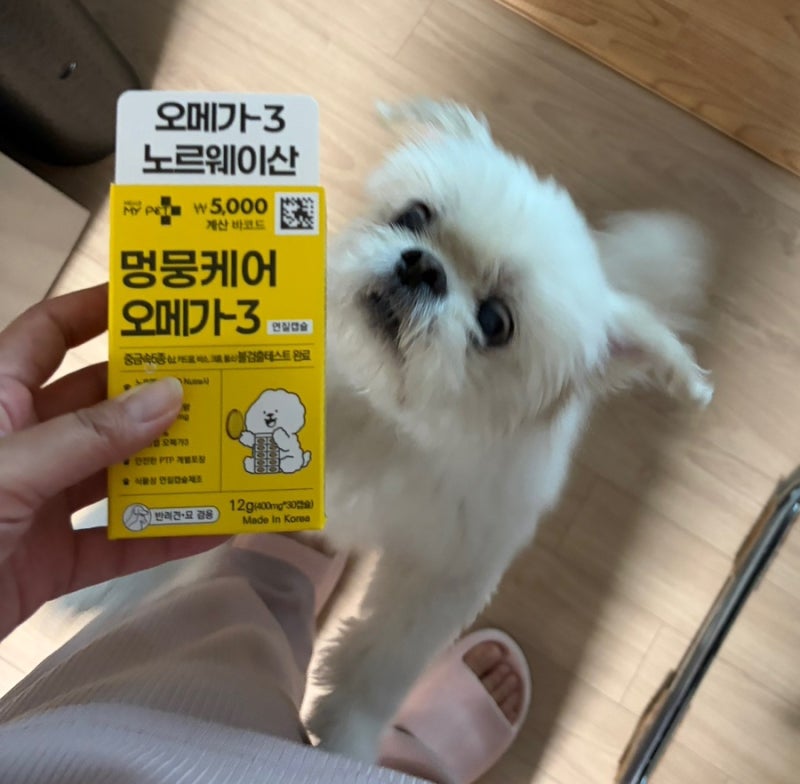 다이소 강아지영양제 다이소추천템 강아지 오메가3 후기