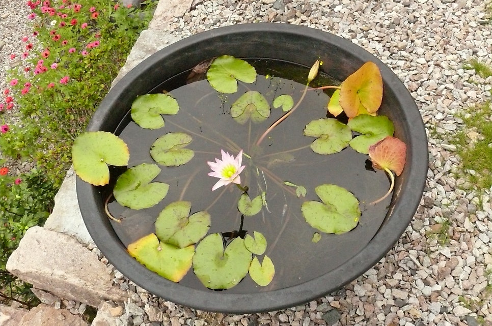 여귀산 사진 5