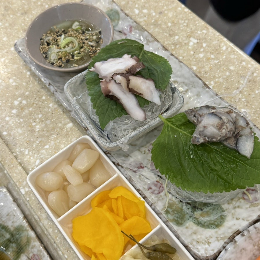 민참치 사진 5