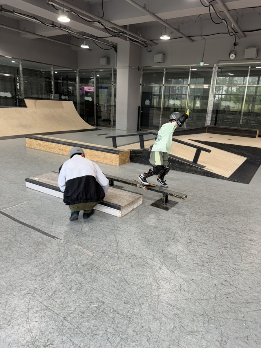 돼야지 사진 3