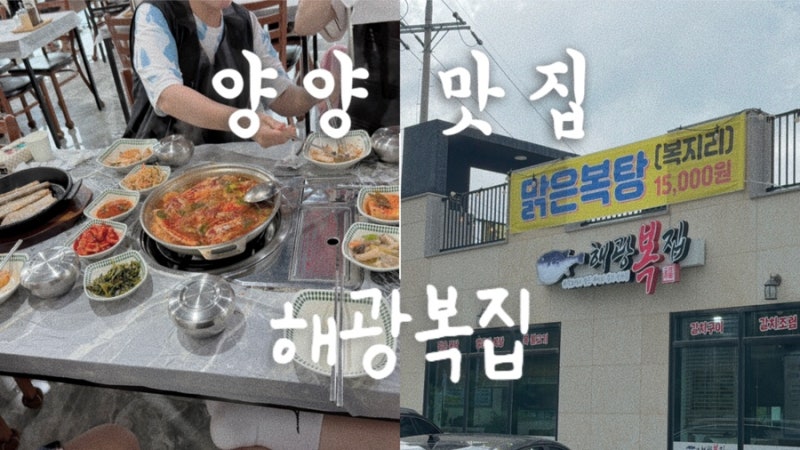 강원도 양양 맛집 해광복집, 강원도 맑은복탕,복어맛집,맑은복탕,갈치 맛집,생선 맛집